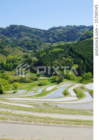 Oyama Senjita 35700545