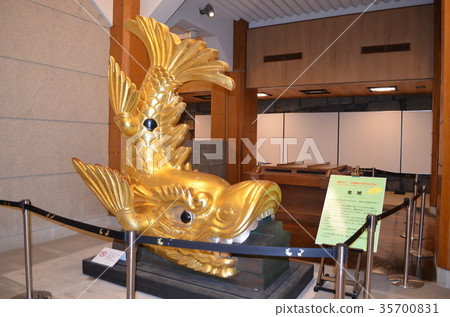 [Aichi] Nagoya Castle/Gold sea bream 35700831