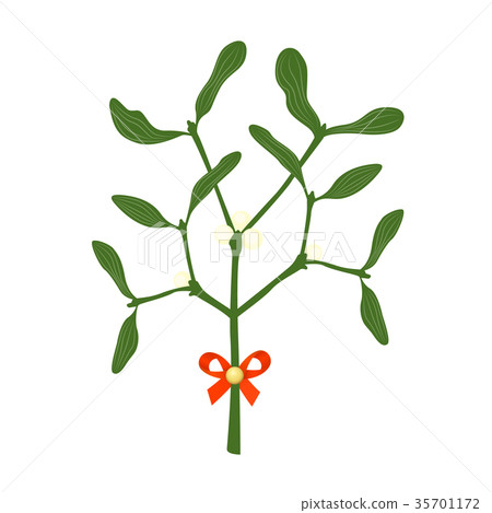 mistletoe branches 35701172