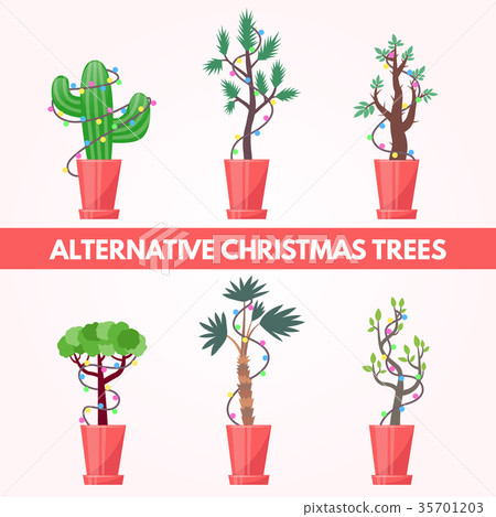 set of New Year plants set of New Year plants 35701203