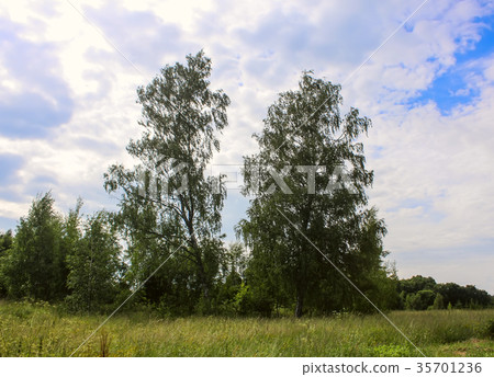 Landscape at summer in Latvia. Landscape at summer in Latvia. 35701236