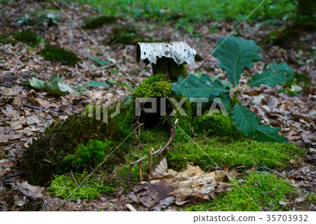 small house in the moss small house in the moss 35703932