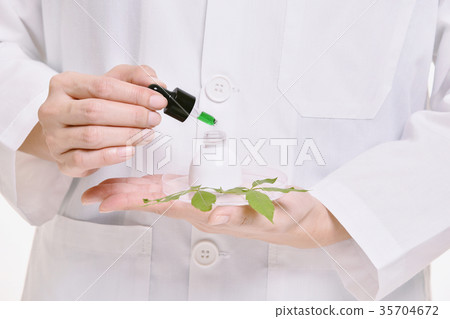 Scientist with natural drug research. 35704672
