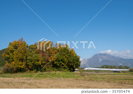 Ibukiyama和Shinkansen在秋天運行的風景 35705474