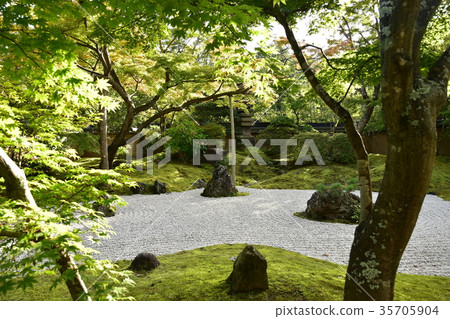 乾燥山水和色的葉子 乾燥山水和色的葉子 35705904