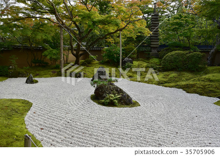 乾燥山水和色的葉子 乾燥山水和色的葉子 35705906