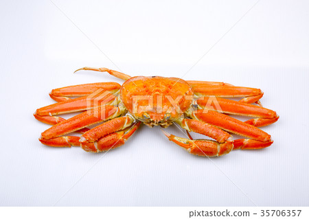 松葉蟹成分 松葉蟹成分 35706357