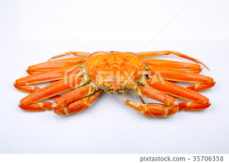 Matsuba crab ingredients Matsuba crab ingredients 35706358