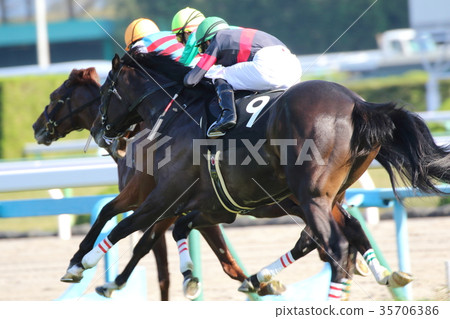 Horse racing 14 Horse racing 14 35706386