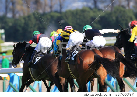 賽馬15 賽馬15 35706387