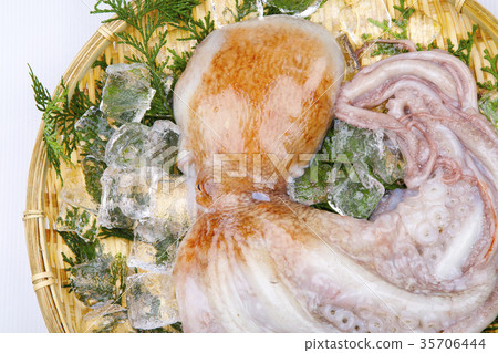 Raw octopus ingredients 35706444