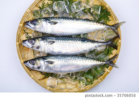 Mackerel ingredients Mackerel ingredients 35706858