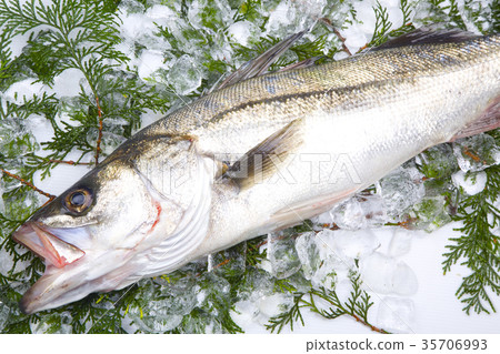 鈴木成分 35706993