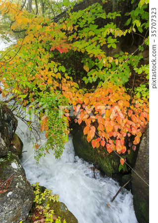 Yokotani Valley 35707323