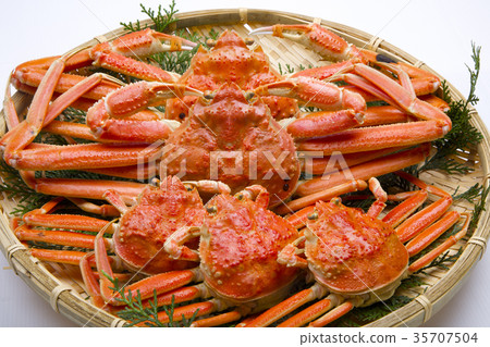 Snow crab male and female ingredients Snow crab male and female ingredients 35707504