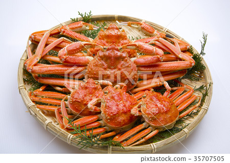 Snow crab male and female ingredients Snow crab male and female ingredients 35707505