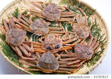 雪螃蟹女性原料 35707617