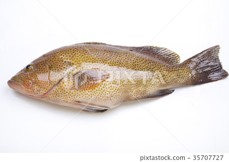 Omonhatha ingredients 35707727