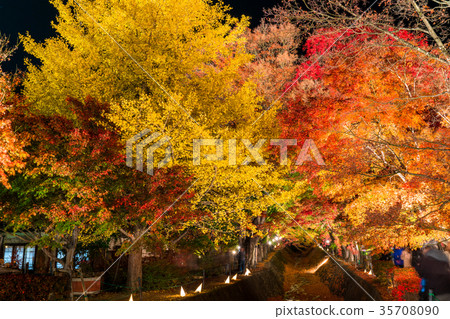 Yamanashi Prefecture Fujikawaguchiko Town Stock Photo