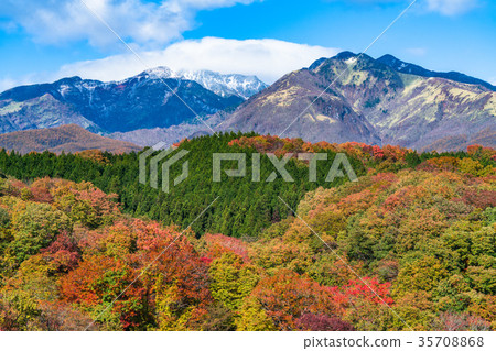 "Tochigi Prefecture" Kirigaki plateau of autumnal leaves "Tochigi Prefecture" Kirigaki plateau of autumnal leaves 35708868