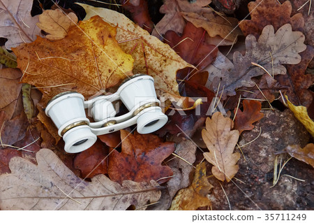 old theatrical binoculars lies on rocks in autumn old theatrical binoculars lies on rocks in autumn 35711249
