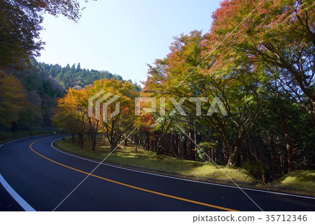 Mt. Hiei和Okuhiei車道秋葉 35712346