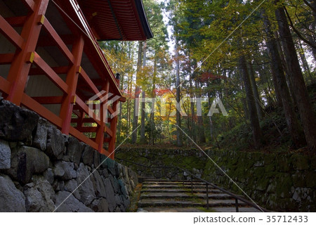 Yokogawa Chuo-do和橫河Hiei的秋葉 35712433