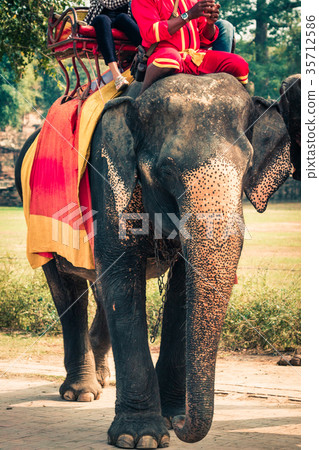 Tourists on an elefant ride around  35712586