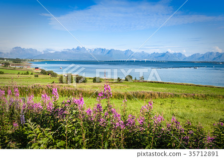 Beautiful Landsscape, Lofoten islands,Norway 35712891