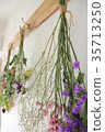 Dried flower_Lavender_Gypsophila 35713250