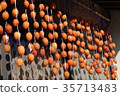 Dried persimmon 35713483