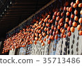 Dried persimmon 35713486