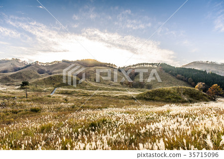 Tohomine plateau autumn 35715096