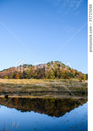 Tohomine plateau autumn 35715098