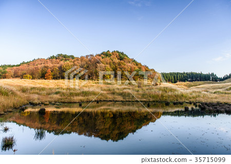Tohomine plateau autumn 35715099