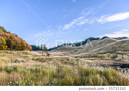 Tohomine plateau autumn 35715102