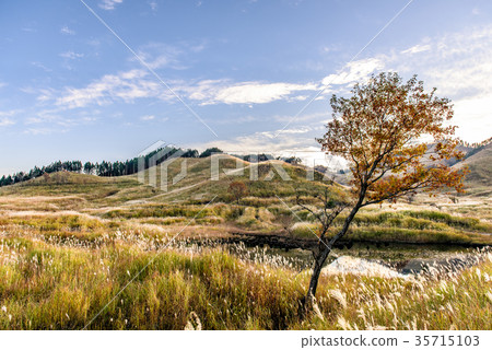 Tohomine plateau autumn 35715103