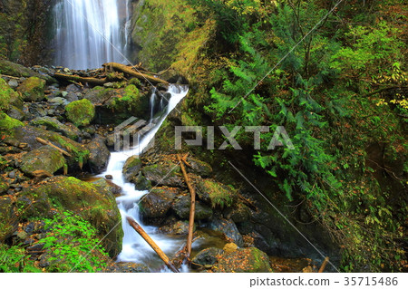 隱藏著秋天的落葉谷 35715486