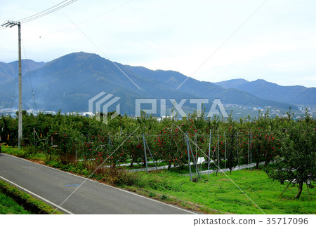 Shinanoji Shinshu Autumn leaves 35717096