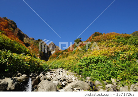 Mountains of autumn leaves 35717262