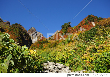 Mountains of autumn leaves 35717263