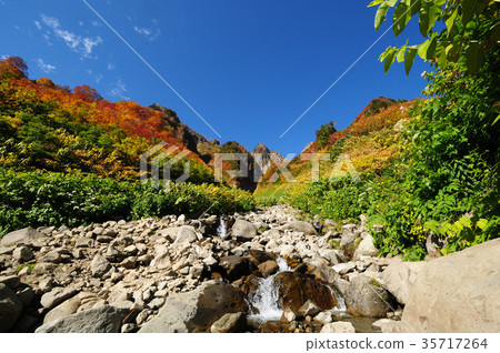 Mountains of autumn leaves 35717264