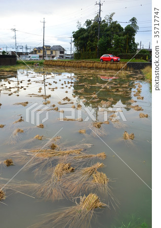 Large Typhoon Hachioji City Large Typhoon Hachioji City 35717747