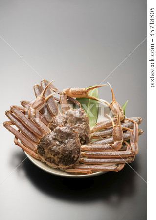 Matsuba crab 35718305