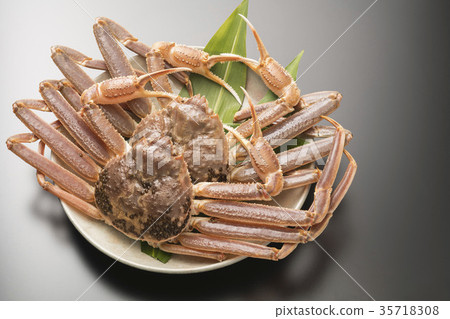 Matsuba crab 35718308