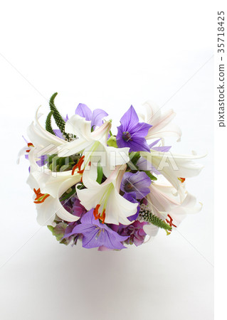 山谷的百合花，鈴蘭，繡球花和okatoranoo（沒有花瓣和花粉）（垂直整體）的安排 35718425