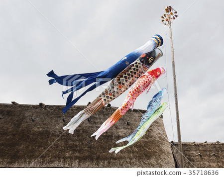 Japanese Carp flag Colorful Japan festival 35718636