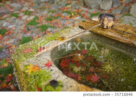 手水地方和色的葉子的圖像 手水地方和色的葉子的圖像 35718846