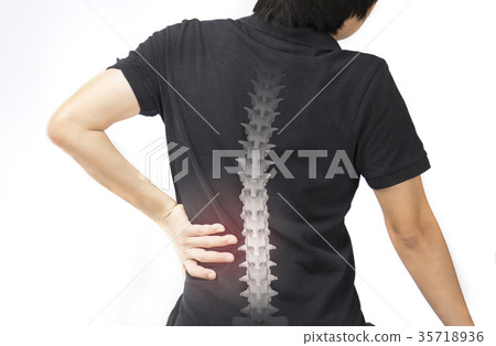 spine bones injury 35718936