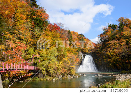 Fall Hakata Falls Akita 35719093